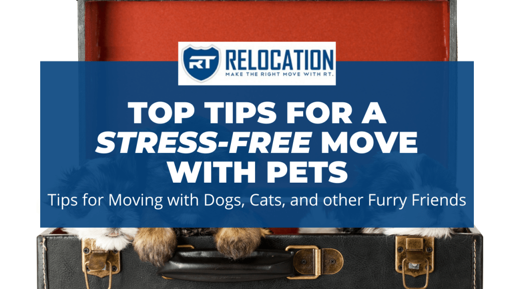 CT Movers | Tips for Moving with Pets - RT Relocation